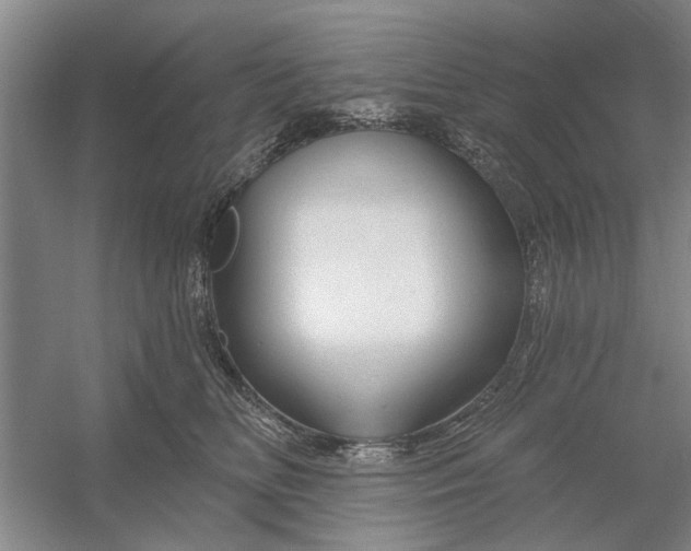 X0000054420518200508192101
