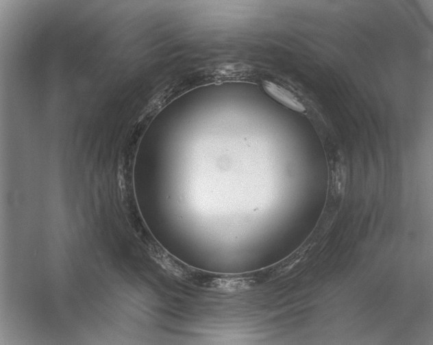 X0000054420520200508192101