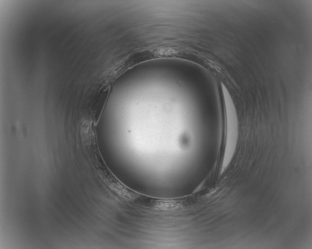 X0000054420521200508192101