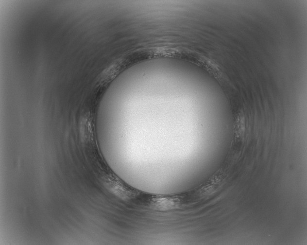 X0000054420522200508192100