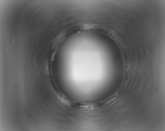 X0000054420524200508192100