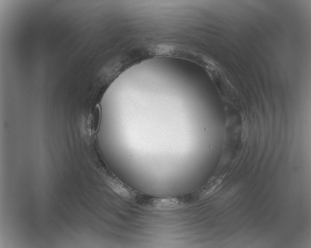 X0000054420525200508192100