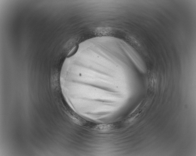 X0000054420526200508192100