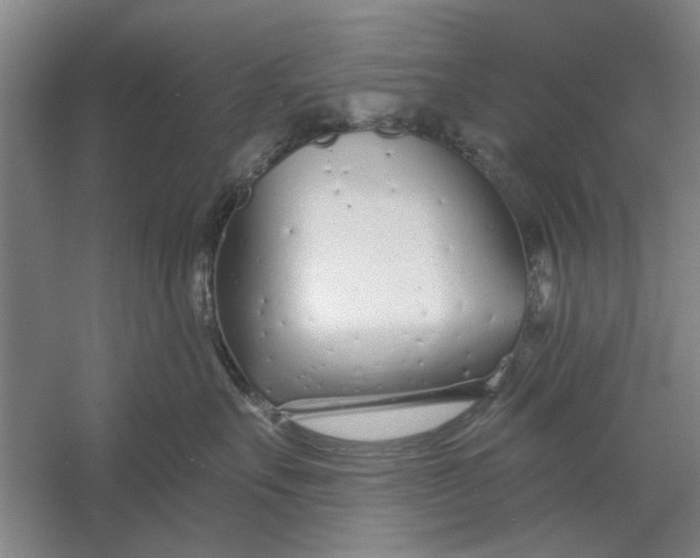 X0000054420527200508192100