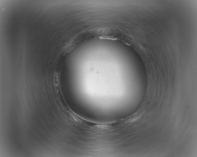 X0000054420528200508192100