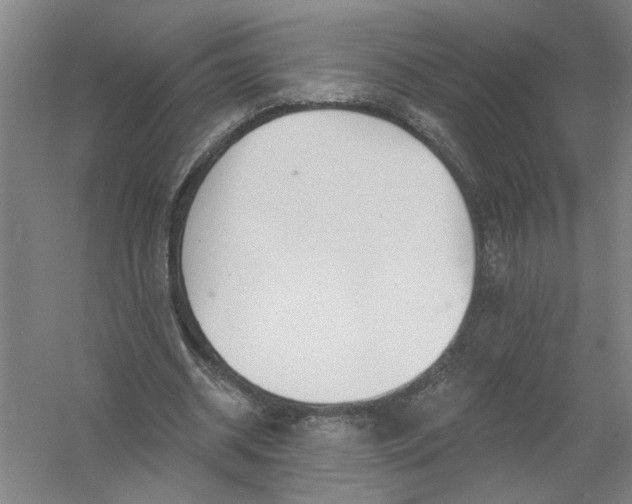 X0000054420534200508192100