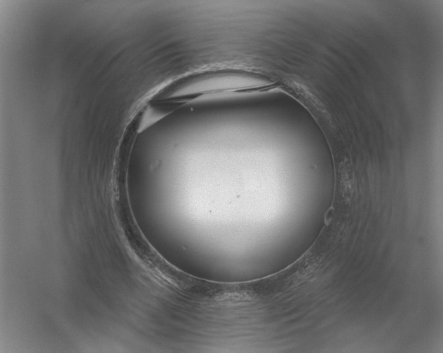 X0000054420536200508192100