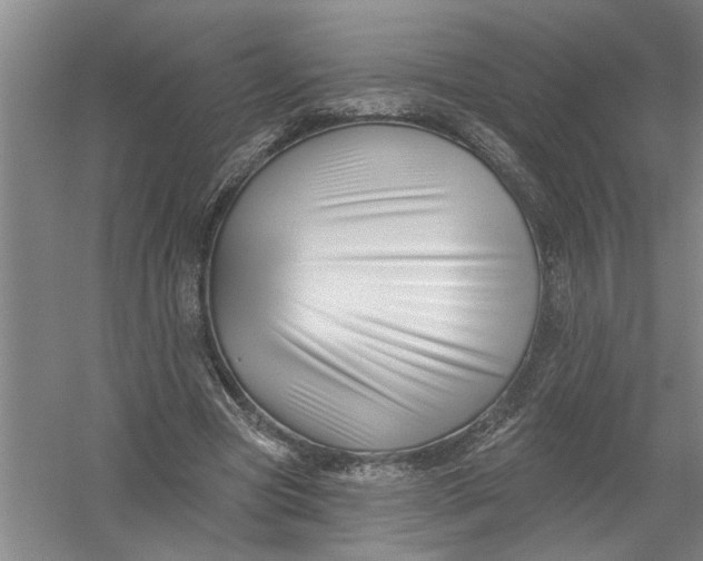 X0000054420537200508192100
