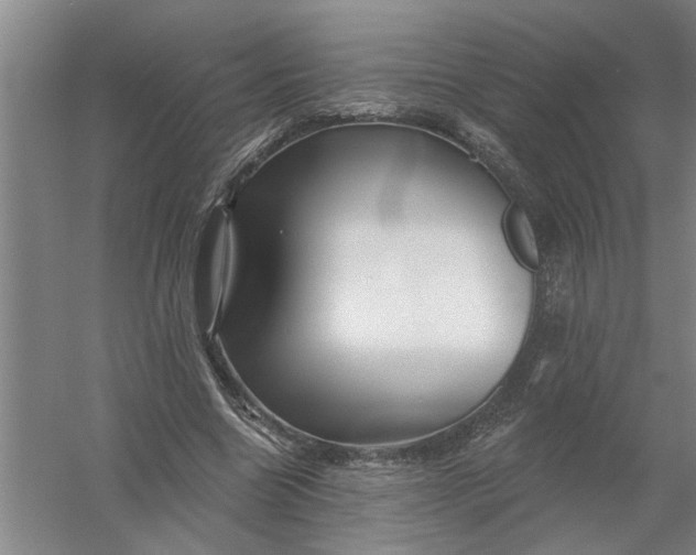 X0000054420538200508192100