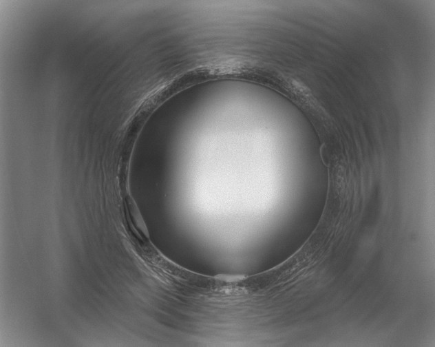 X0000054420543200508192100