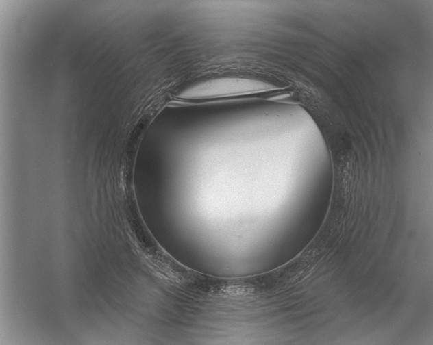 X0000054420546200508192100