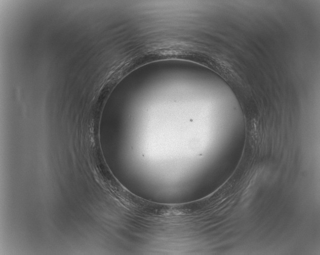 X0000054420547200508192100