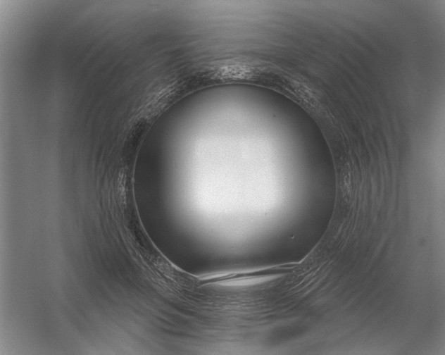 X0000054420551200508192100