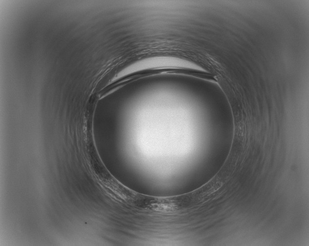 X0000054420552200508192100