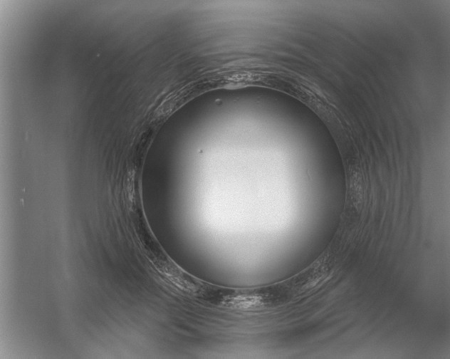 X0000054420554200508192100