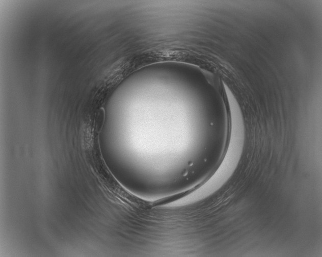X0000054420558200508192100