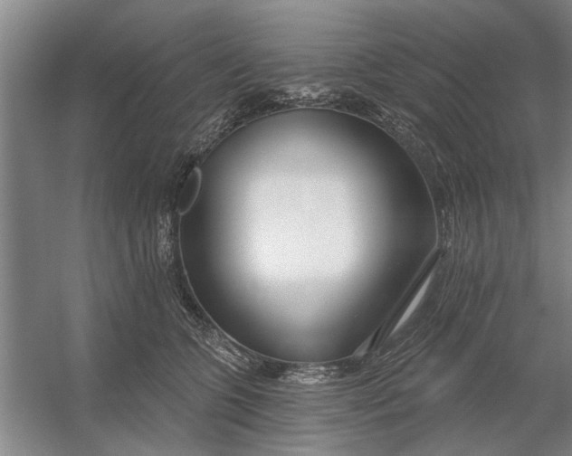 X0000054420563200508192100
