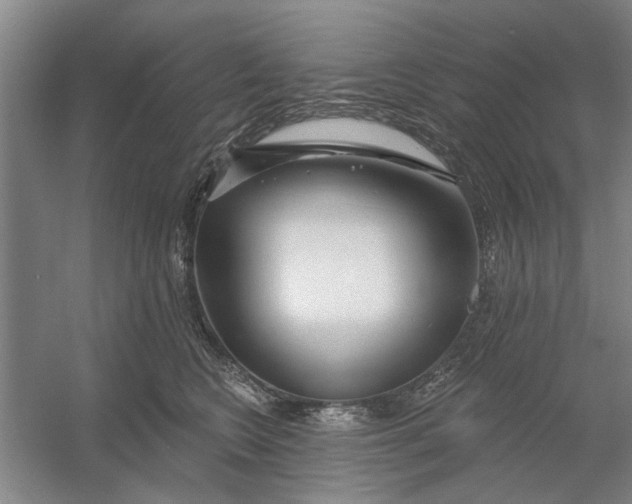 X0000054420566200508192100