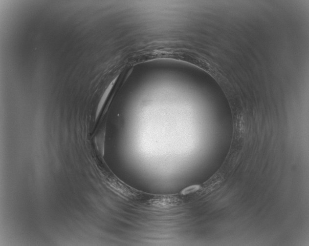X0000054420567200508192100