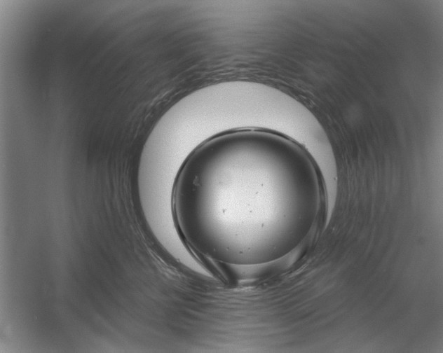 X0000054420570200508192100