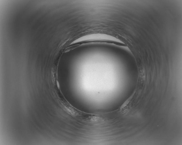 X0000054420572200508192100