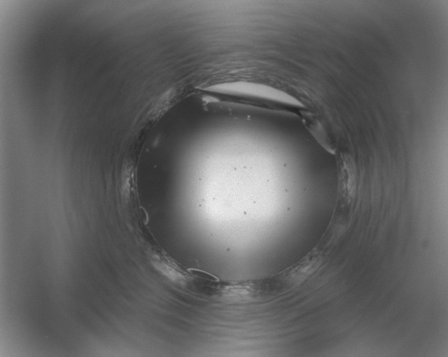 X0000054420574200508192100