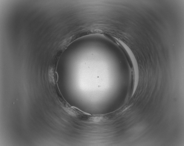 X0000054420575200508192100