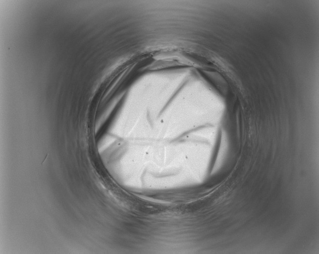 X0000054420578200508192100