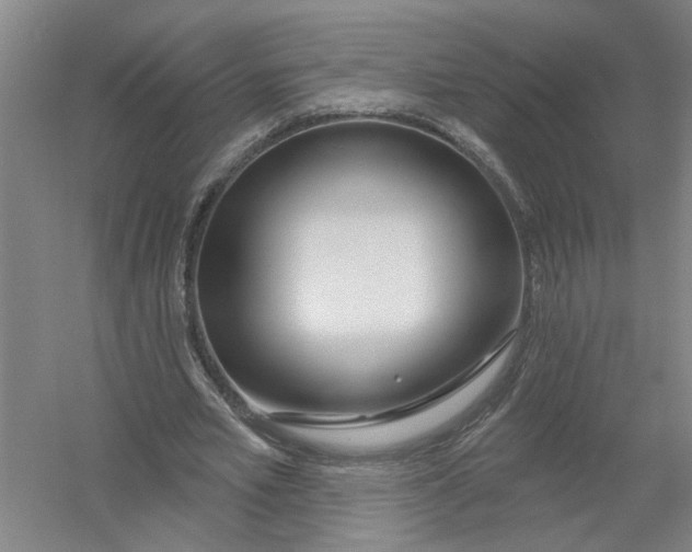 X0000054420581200508192059
