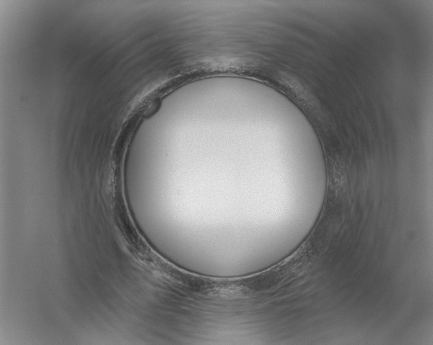X0000054420583200508192059