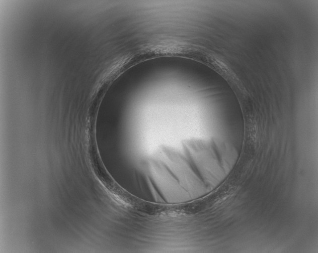 X0000054420586200508192059