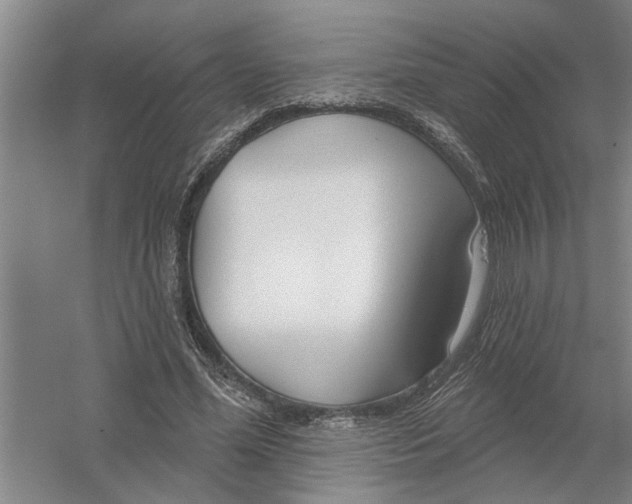 X0000054420588200508192059