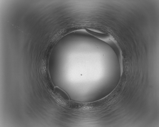 X0000054420593200508192059