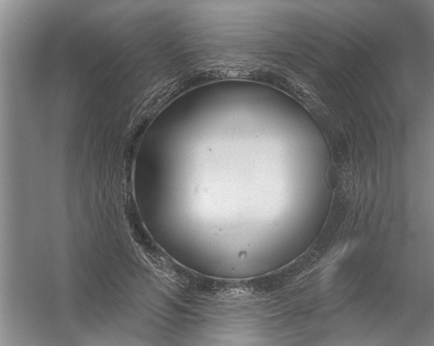 X0000054420594200508192059