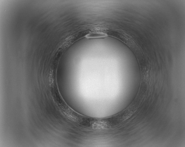 X0000054420599200508192059