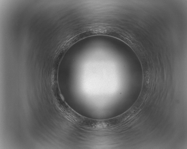 X0000054420600200508192059