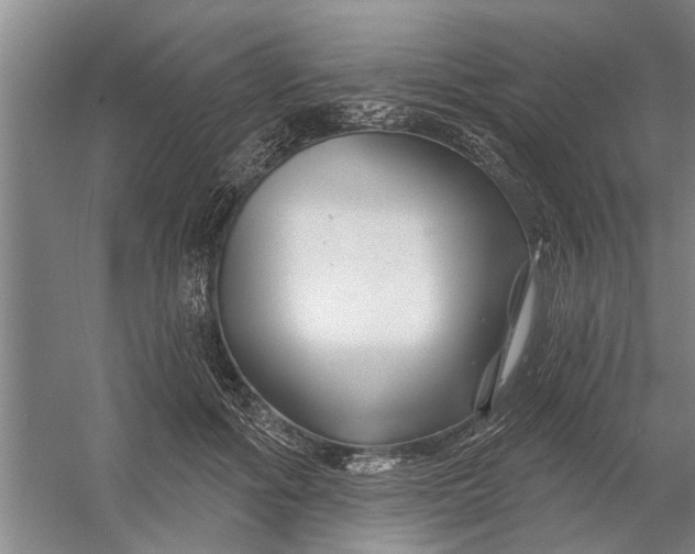 X0000054420602200508192059