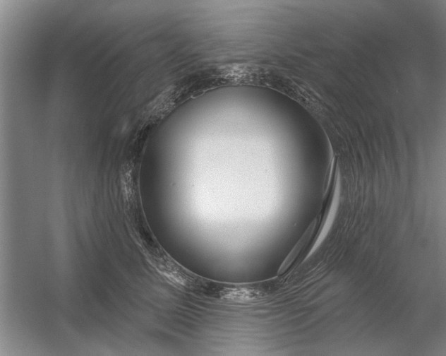 X0000054420611200508192059