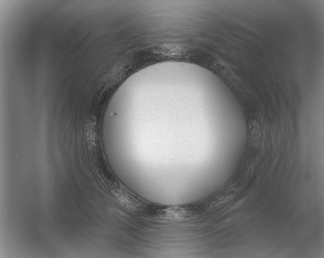 X0000054420612200508192059