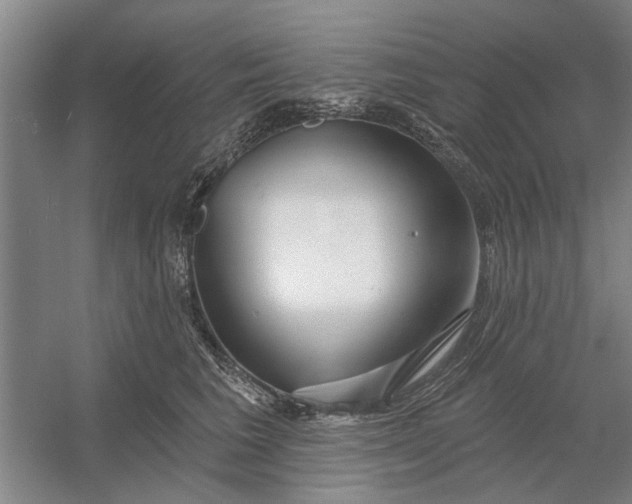 X0000054420613200508192059