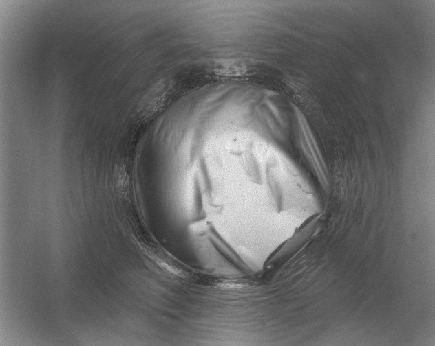 X0000054420614200508192059