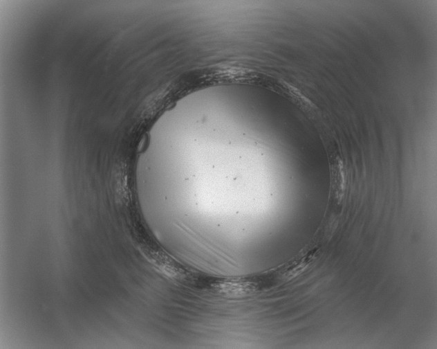 X0000054420615200508192059