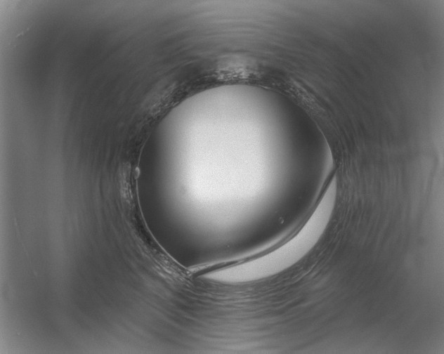 X0000054420616200508192059