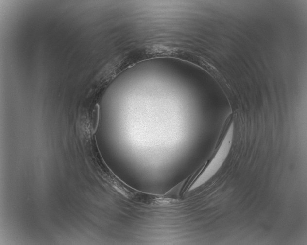 X0000054420617200508192059