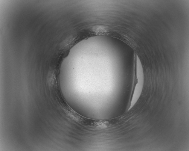 X0000054420618200508192059