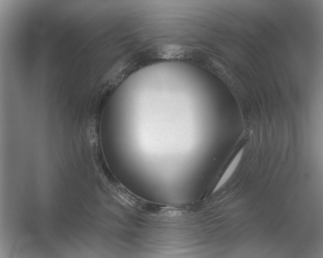 X0000054420620200508192059