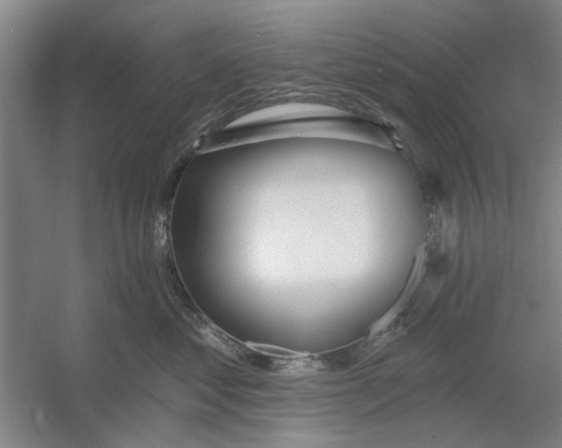 X0000054420621200508192059