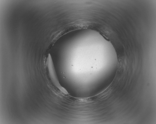 X0000054420623200508192059