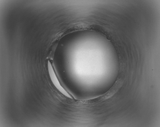 X0000054420624200508192059