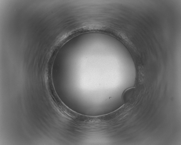 X0000054420631200508192058